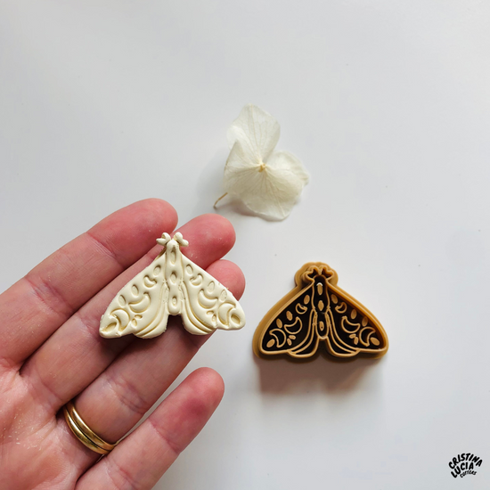 Whimsical Moth